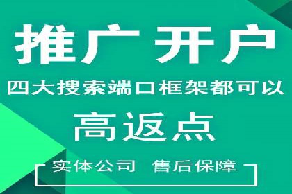 成功案例：专业SEM托管服务助力企业抢占行业制高点
